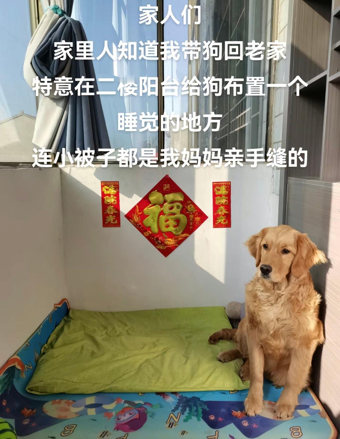 被爱的宝贝们[抱一抱] ​​​