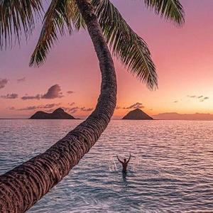 椰风吹过那片海