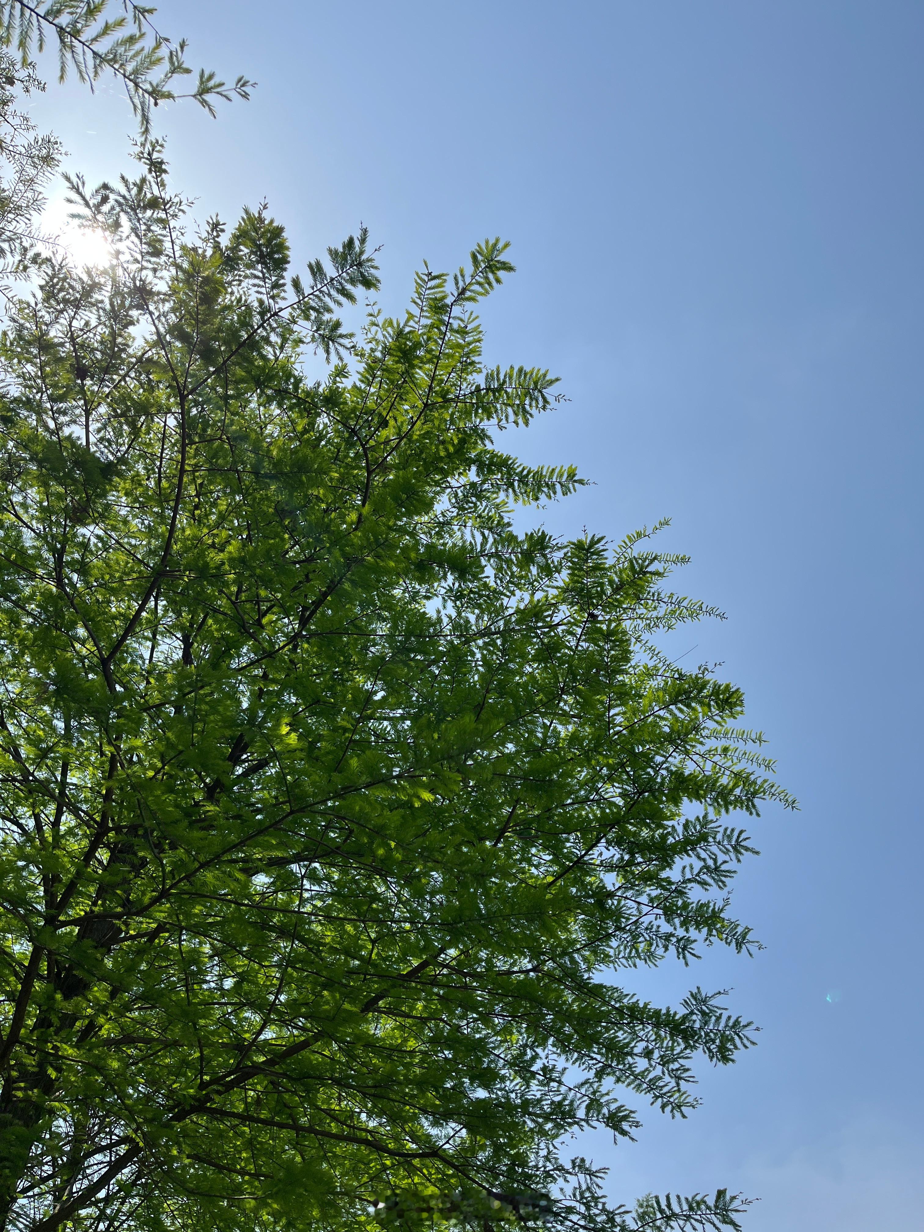 人生最厉害的能力不是坚持，而是翻篇。就像假期结束，就该收心回归，放走那些不愉快的