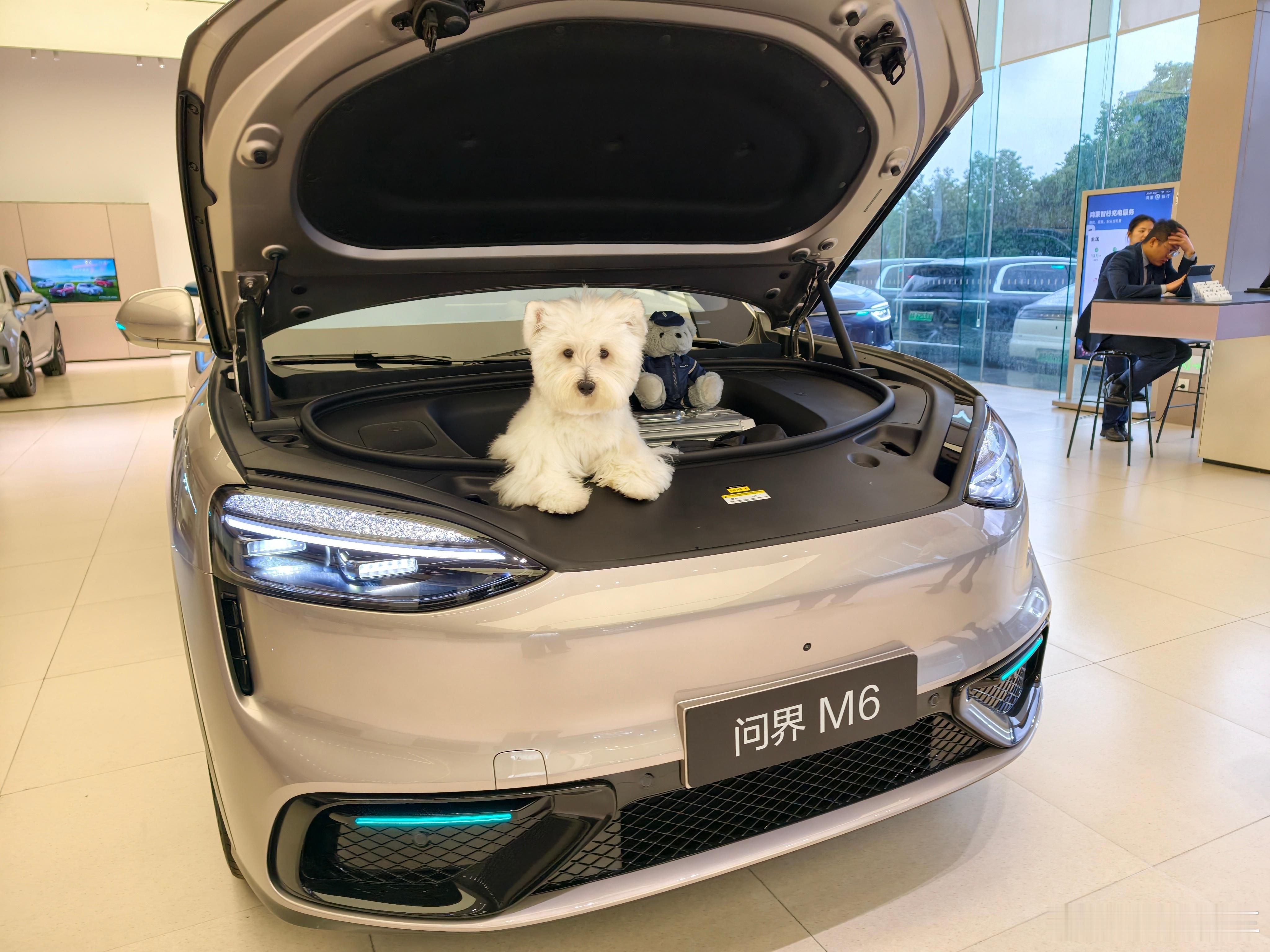 有财小斗亲测问界M6的前备箱确实能装 