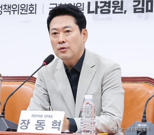 8月4日，韩国国民力量党党首张东赫在国会紧急研讨会上公开发声，持续施压李在明动用