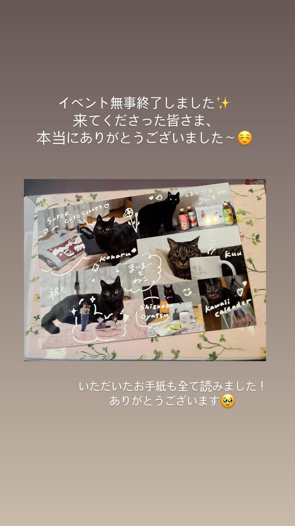 深川麻衣