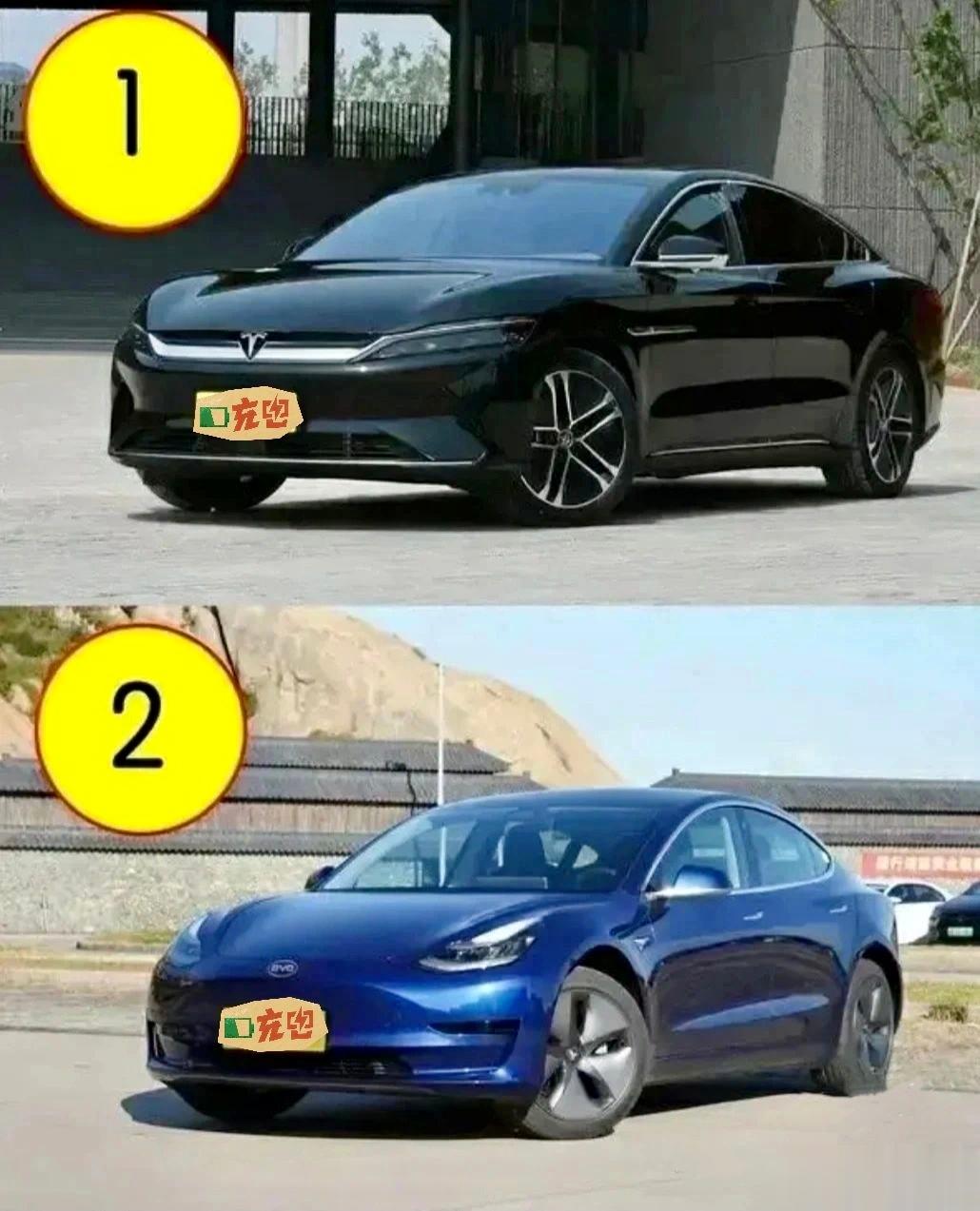 特斯汉和比亚拉，你会选哪个？ ​​​