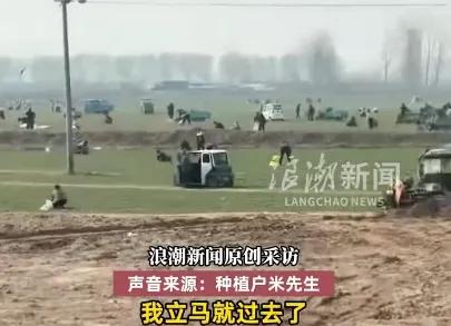 人到了中年再看河南安阳258亩菜地被哄抢这事儿，
蕞大的讽刺，
不是有人睁眼说瞎