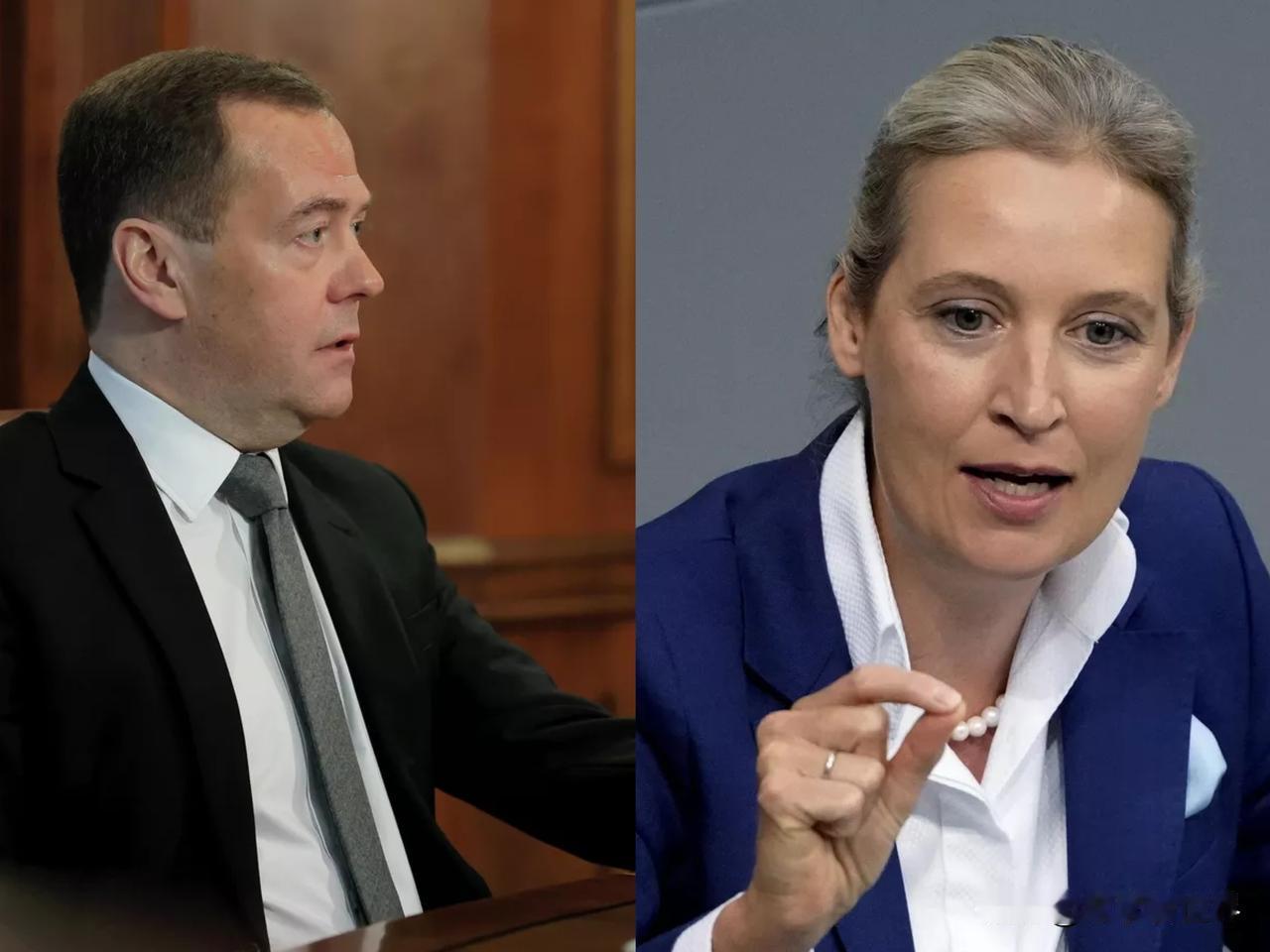 【梅德韦杰夫：德国魏德尔派系是该国权威的政治力量，但遭到打压】
莫斯科时间202