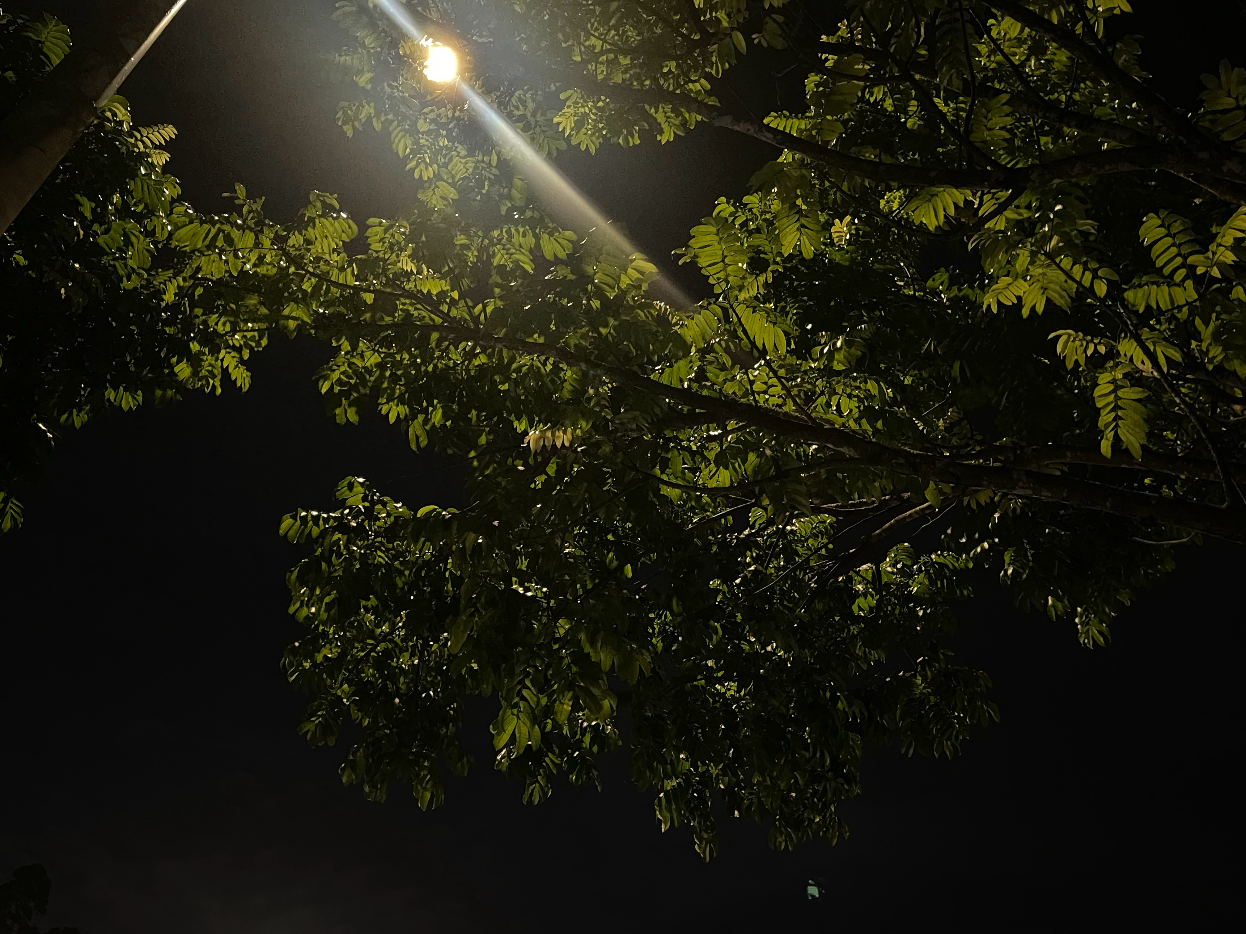 终于快要结束每个月来回奔波的日子啦～ 