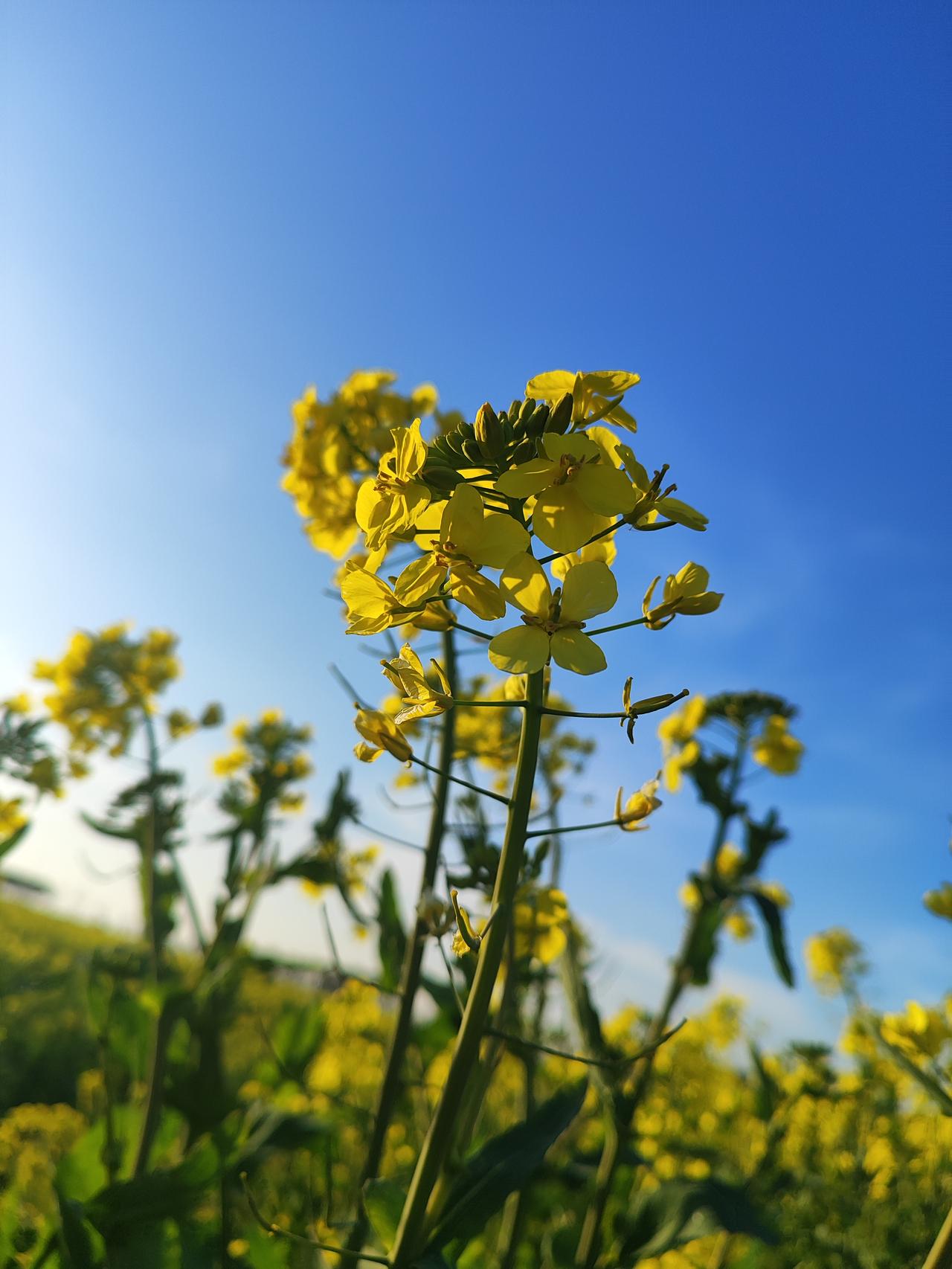 婚姻是喜欢重要，还是适合更重要喜欢是心动的起点，适合是长久的底气；喜欢决定你愿不