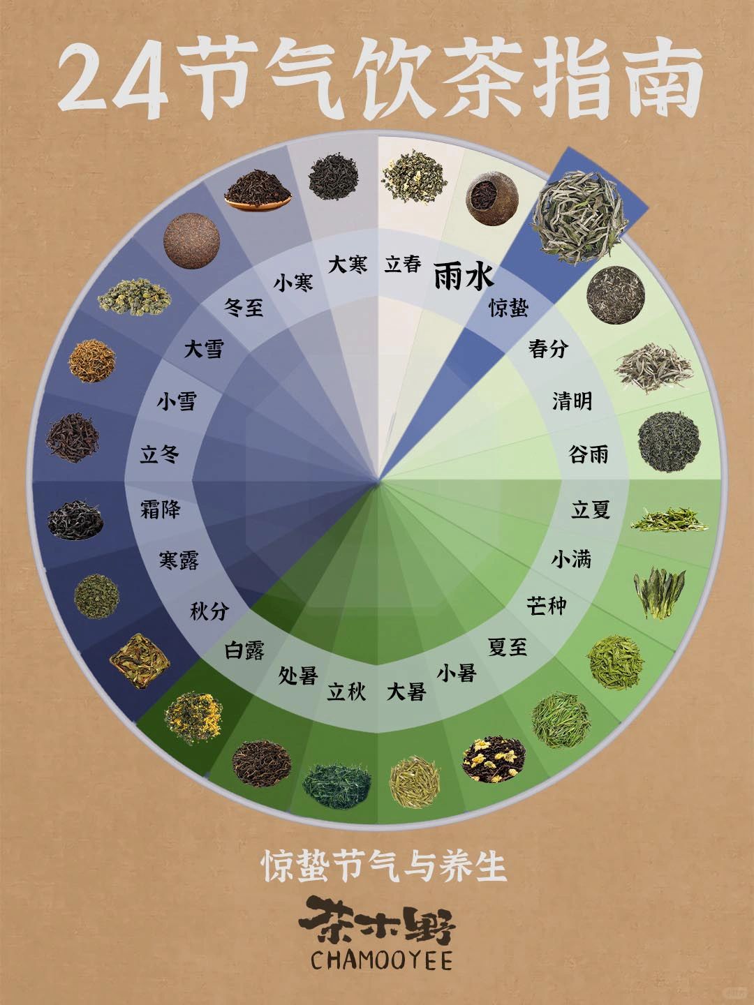 茶与养生丨24节气饮茶指南，惊蛰喝对茶！