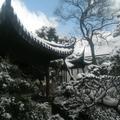 米烧粥