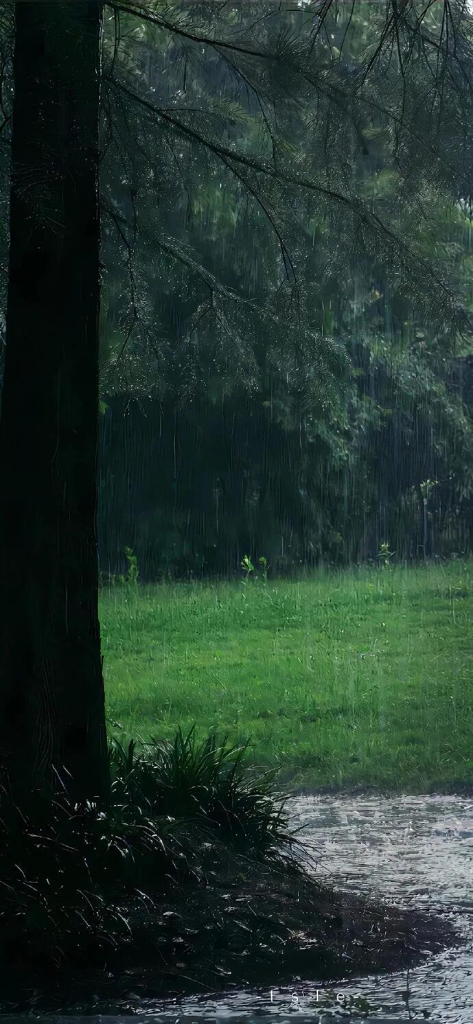 喜欢下雨天 设计美学  风景壁纸｜手机壁纸｜壁纸分享图源网络 