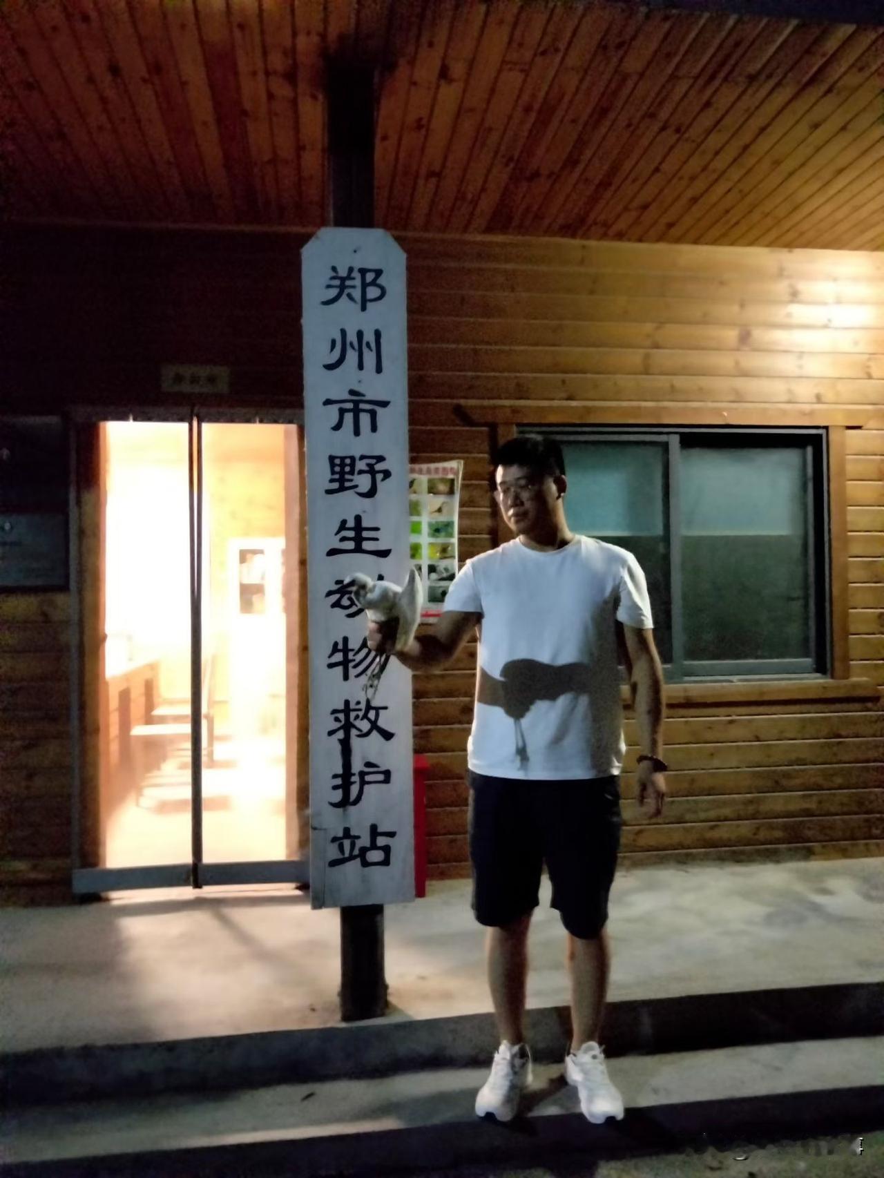 星夜兼程，只为救助这只白鹭！
2026年7月14日晚上九点多，郑州市经开区潮河办