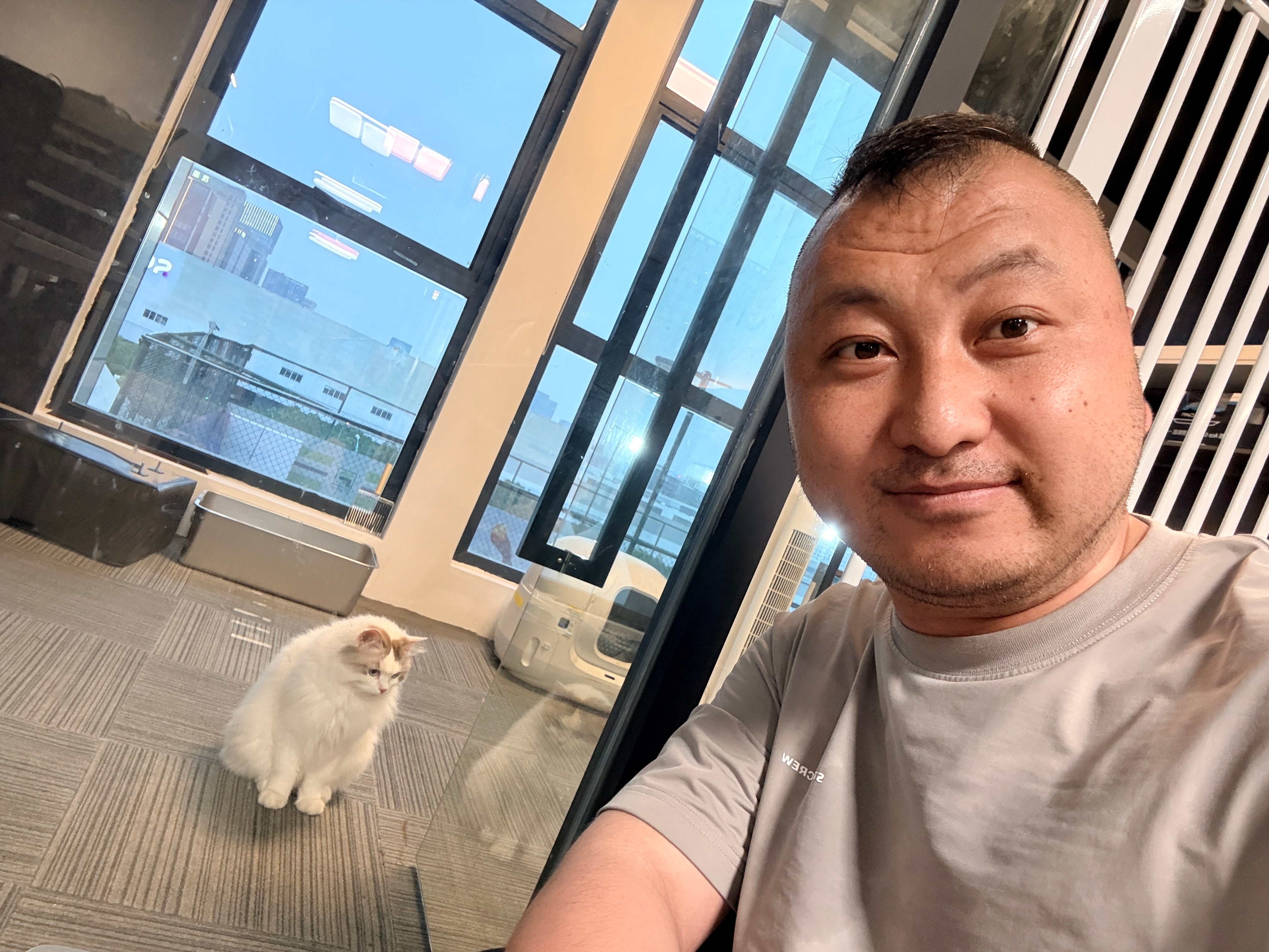 确实很难给大家解释，为什么我来杭州 照顾猫 这两天基本在改善猫的生存环境，他们现