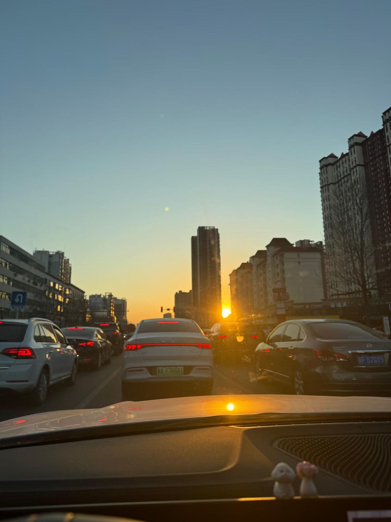 早上的第一缕阳光，是一天新的希望之光，让我们逐光而行吧！