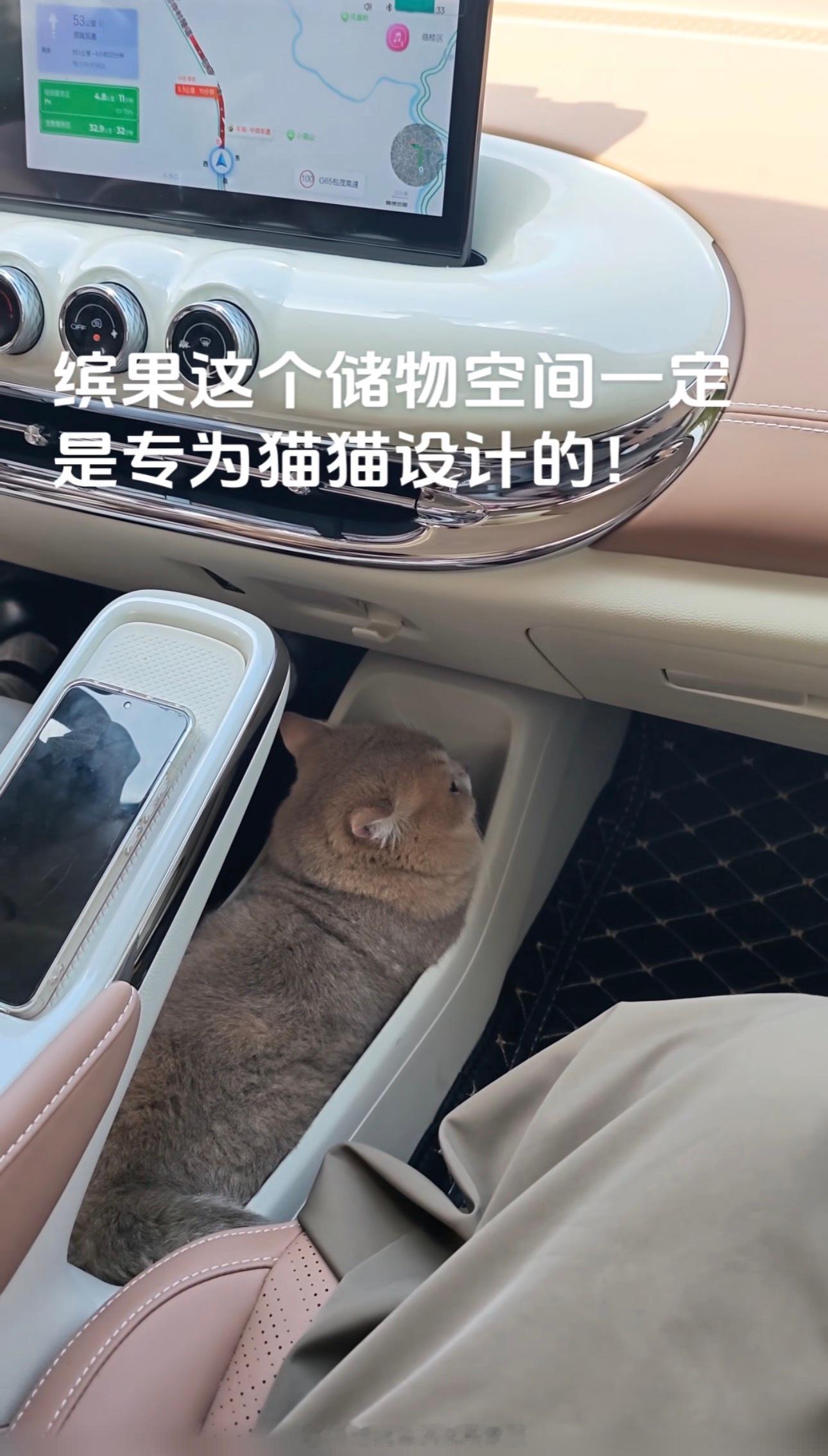 哈哈哈，缤果储物格妙用需要搭配一只爵士好猫[害羞] ​​​