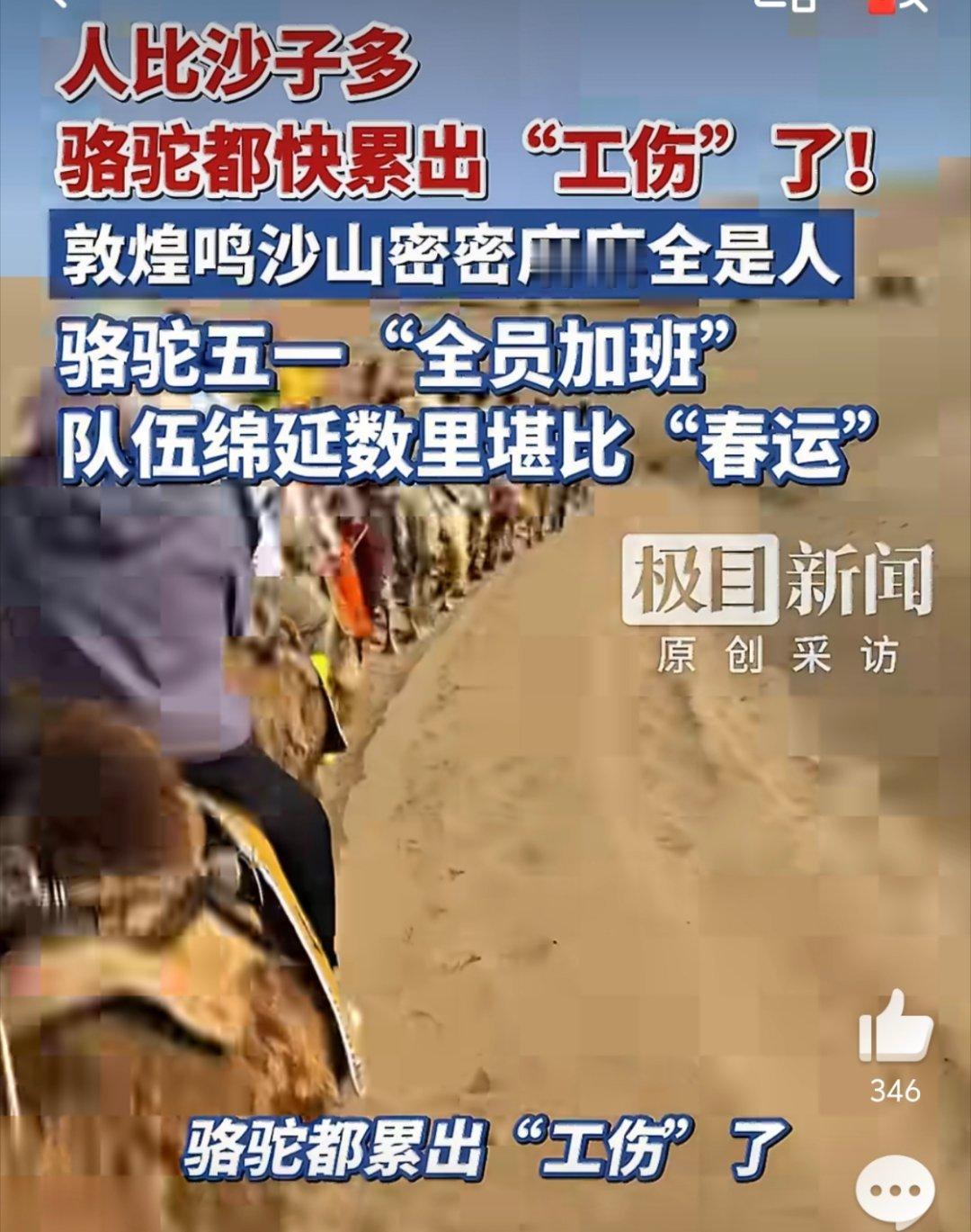 敦煌鸣沙山游客长满整座山骆驼好累啊 