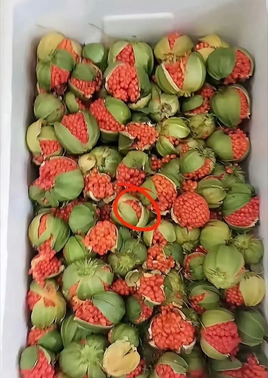闺蜜朋友寄过来的， 两箱送了我一箱 以前没见过 有点像无花果呢！ 