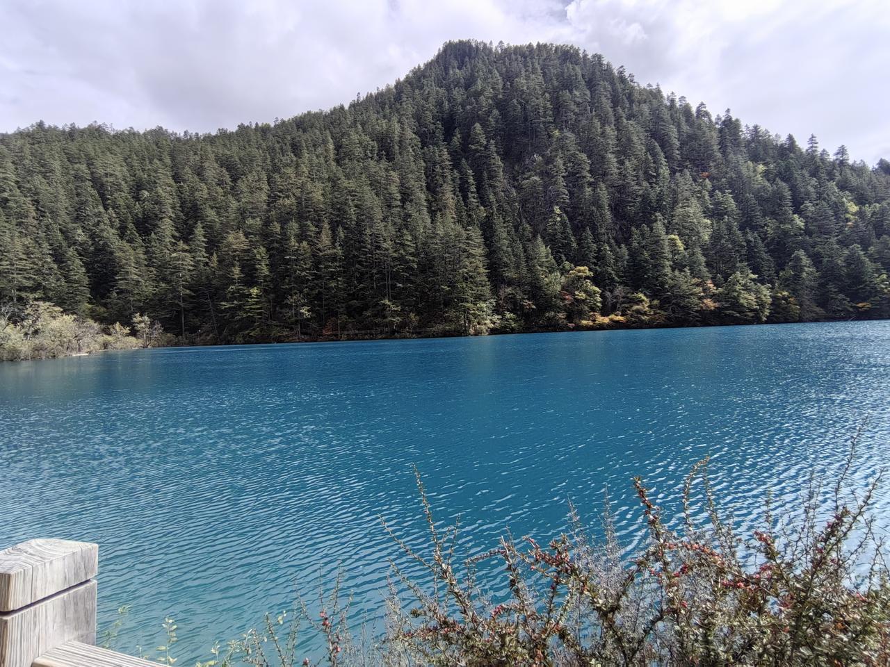 九寨沟的风景，那真是人间仙境！它在四川阿坝州九寨沟县漳扎镇，这里有108个高山湖