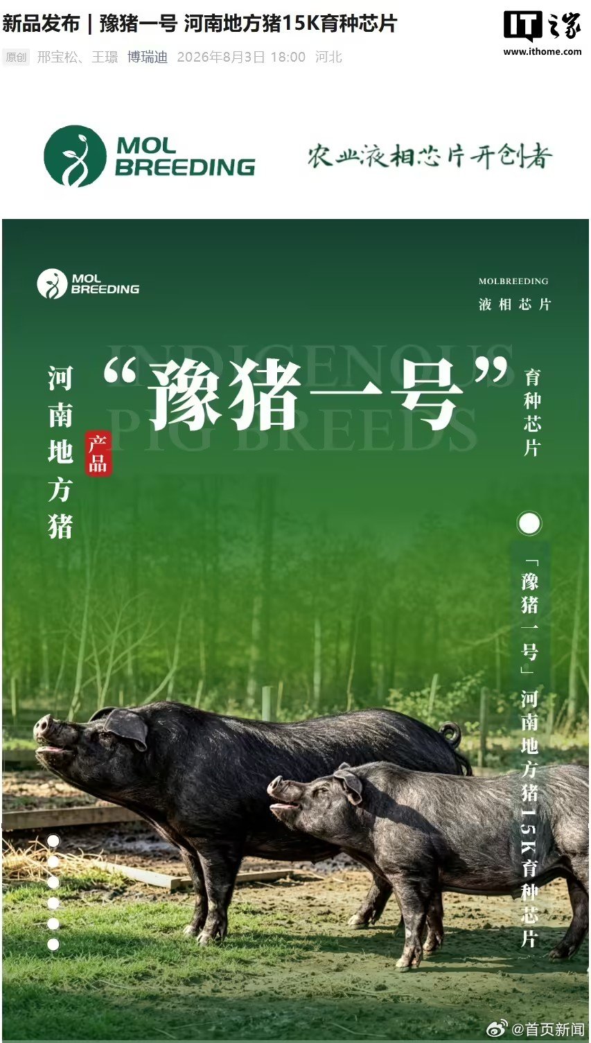 【河南首款地方猪育种芯片发布】豫猪一号育种芯片问世8月10日消息，据河南日报上周