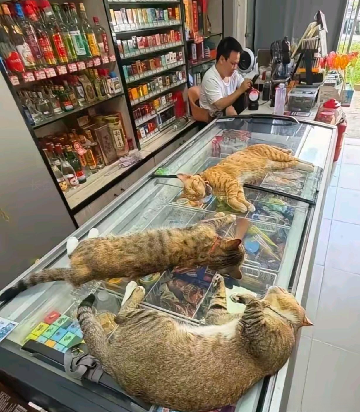 店里四个店员竟然都不看店！！！ 