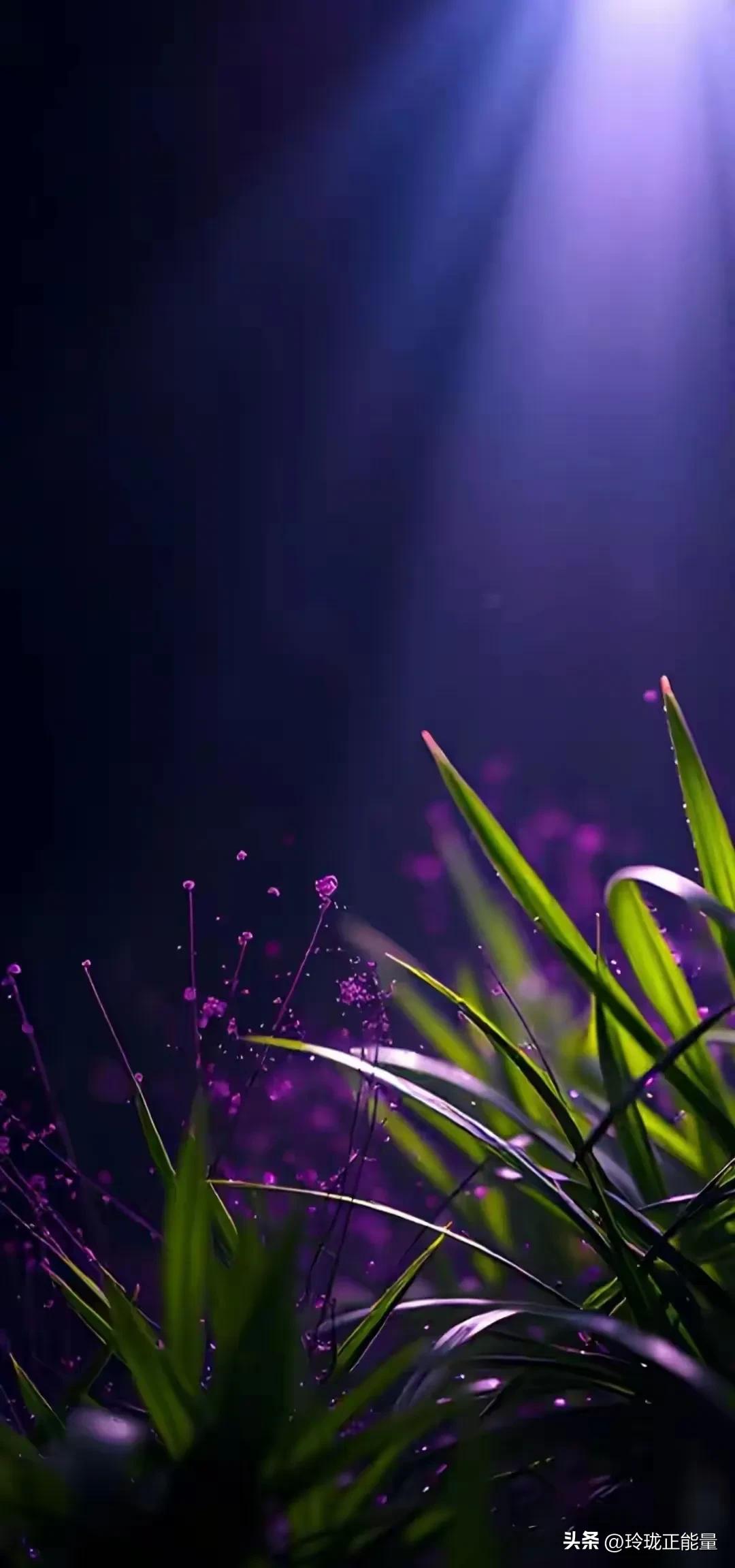 婚外的温柔全是诱饵，动心一步，余生加倍偿还
 
一段非常中肯的话："男人千万要记