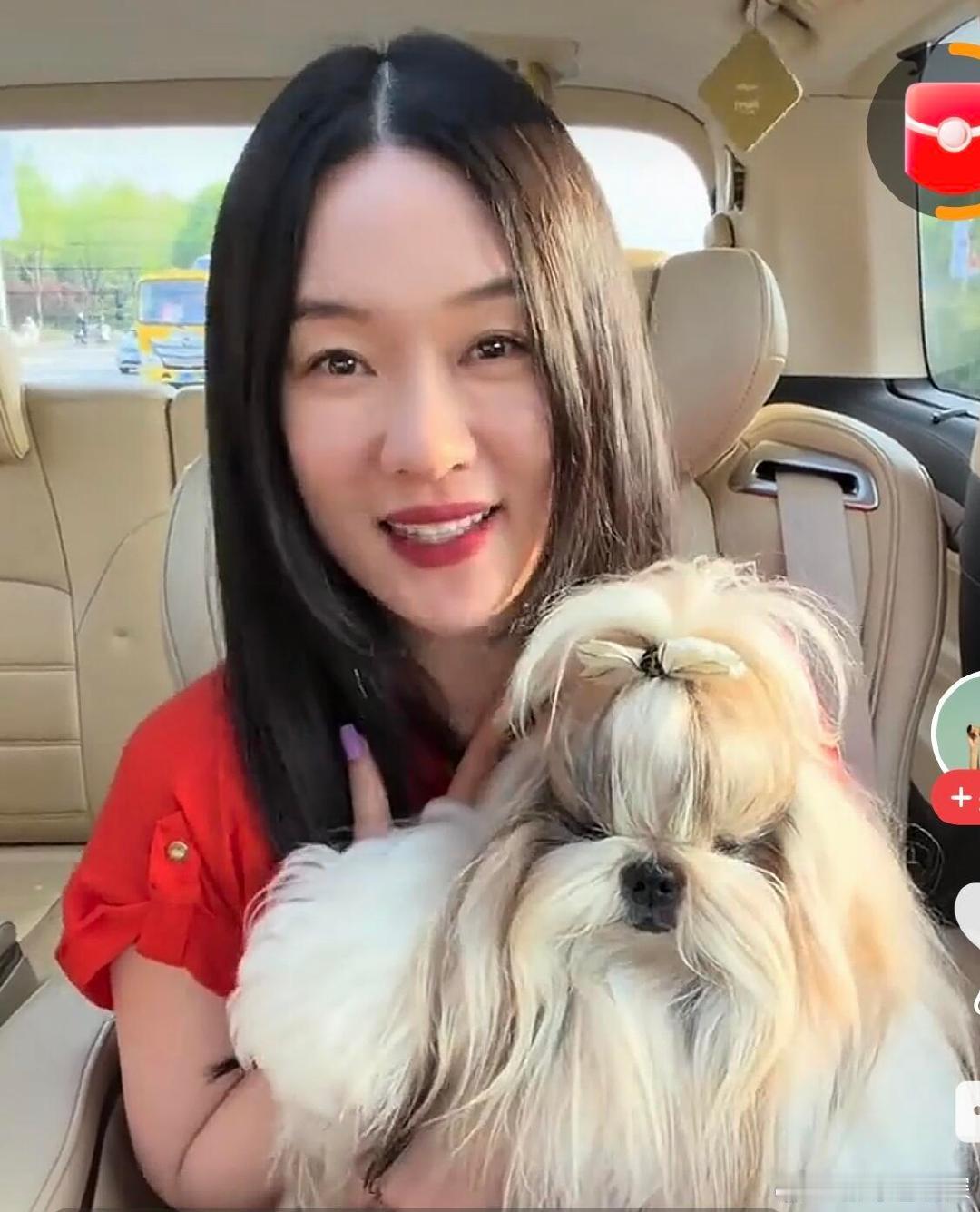 霍思燕居然养过四十多只宠物大开眼界！霍思燕自曝养宠经历，大大小小加起来四十只上下
