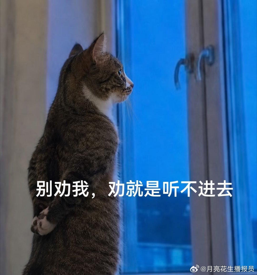 曝花少8小妹王可觉得现在花少是不是也有些丢了初心？以前邀请的嘉宾虽然不至于都是大
