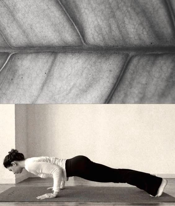 yoga inspired by nature人与自然🪷🧘 