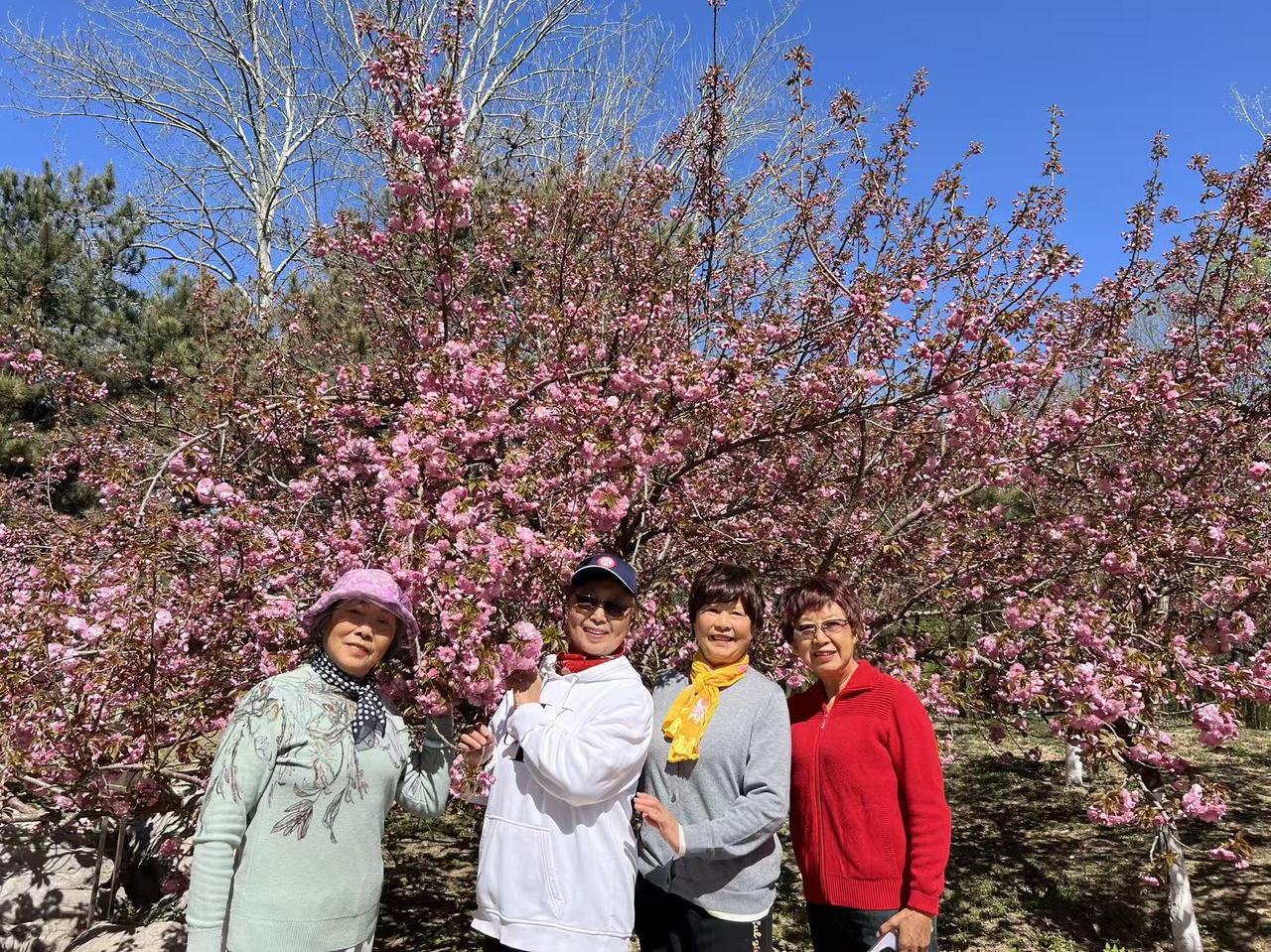 老年人如何拥有好心情,享受当下? 老年人想要拥有好心情、享受当下，有不少实用的办