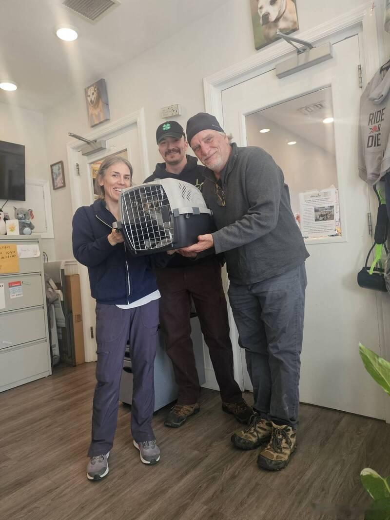 【爱猫失踪10年奇迹找回！主人坚持更新“这一项”成关键】 美国纽约一户家庭日前经