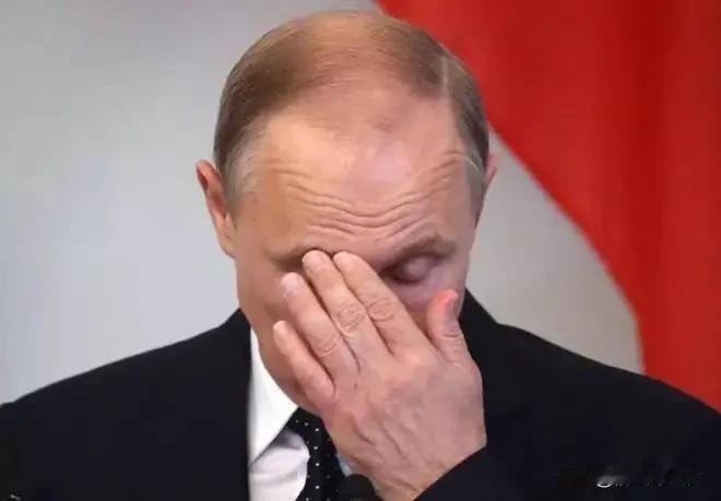 普京丢脸了！圣彼得堡国际经济论坛开幕前夕，全球政商精英刚刚落座，乌克兰无人机把港