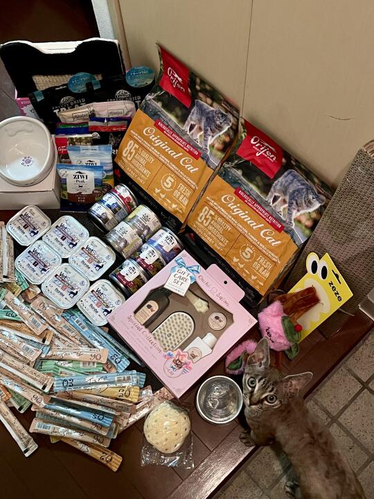 🇯🇵东京宠物展 晒一下战绩