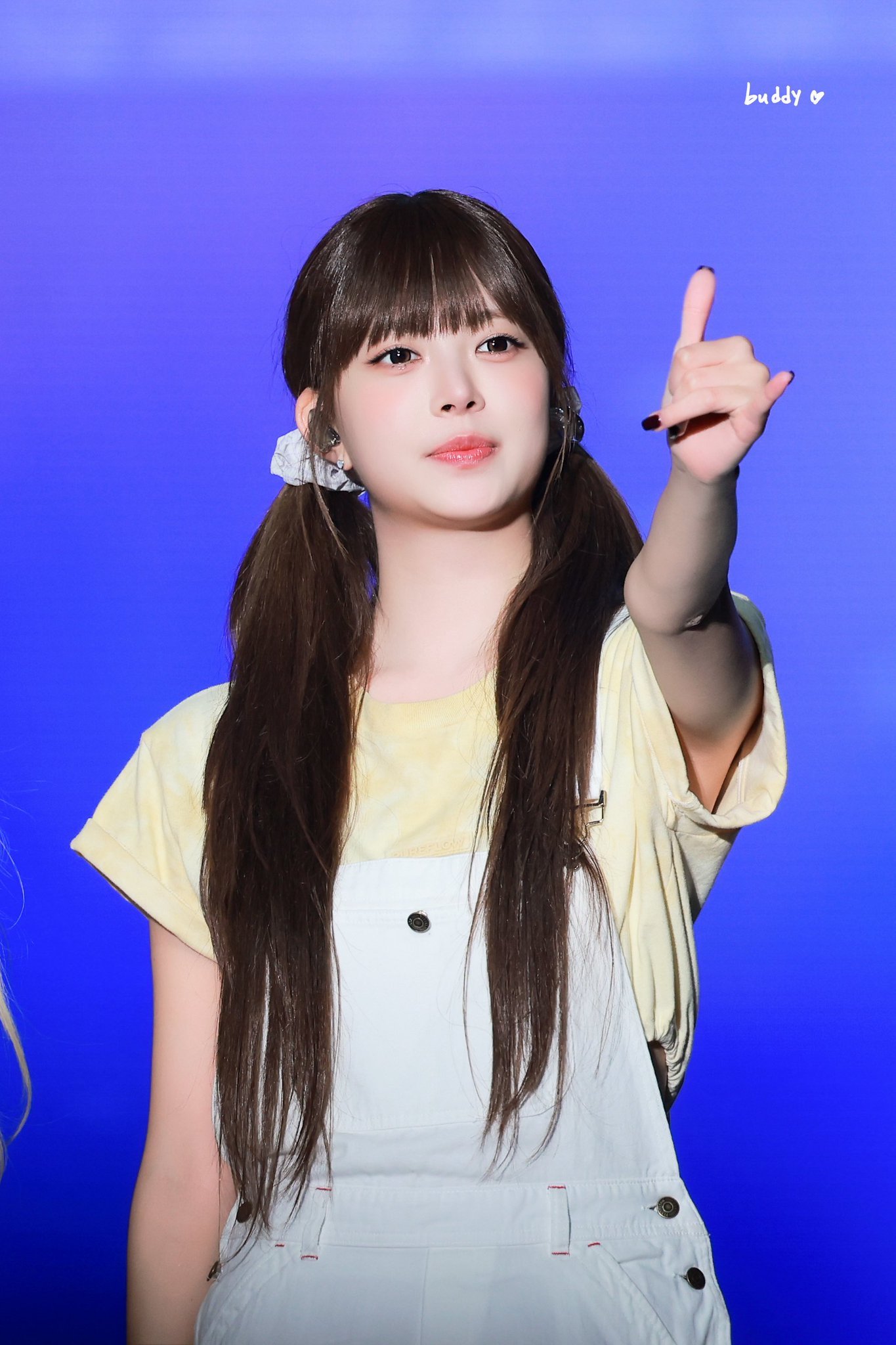 小黄鸡 ​​​