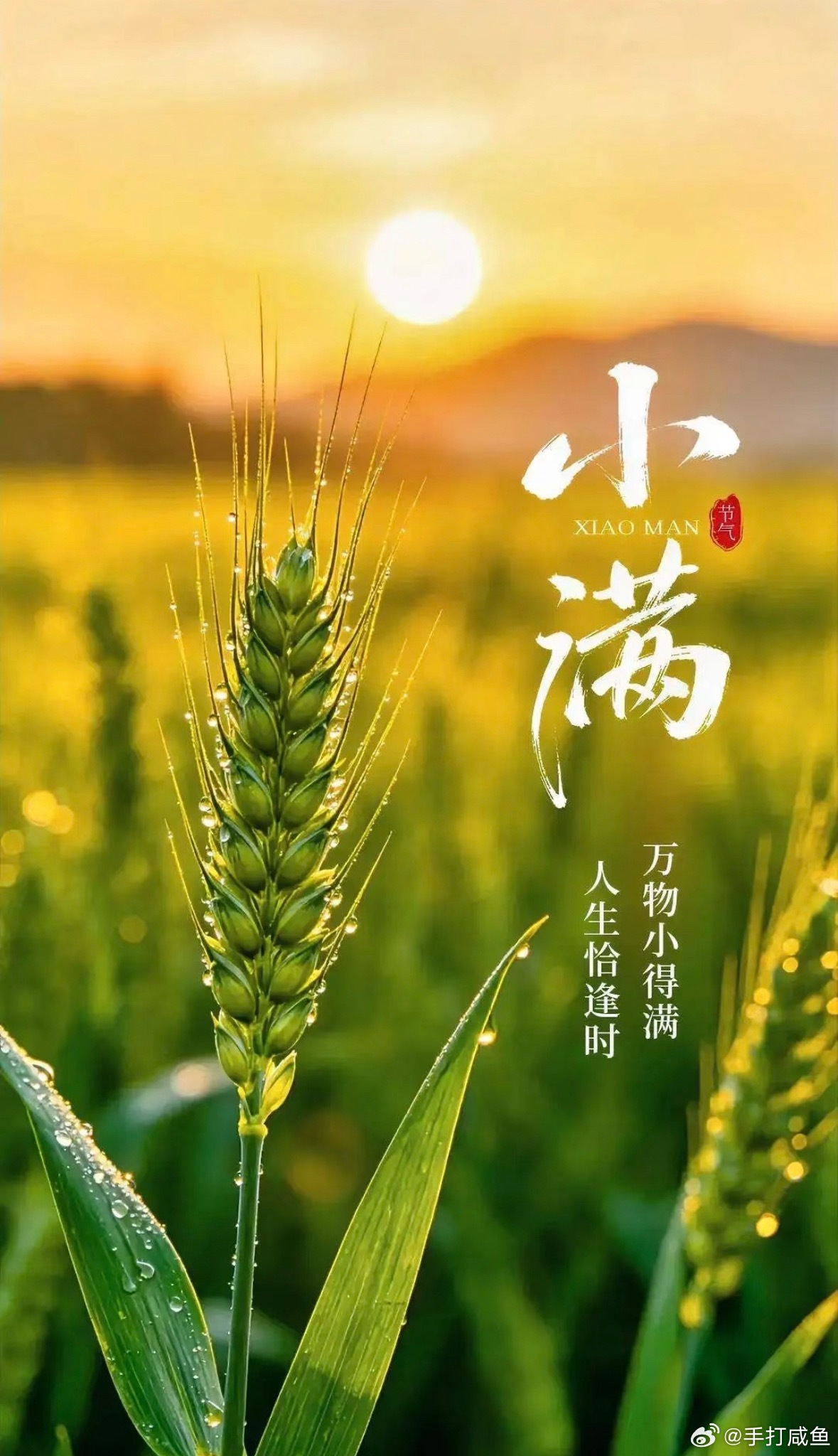 小满 万物盈满，恰是刚刚好的温柔～小满未满，诸事从容。不必事事追求圆满，留有分寸