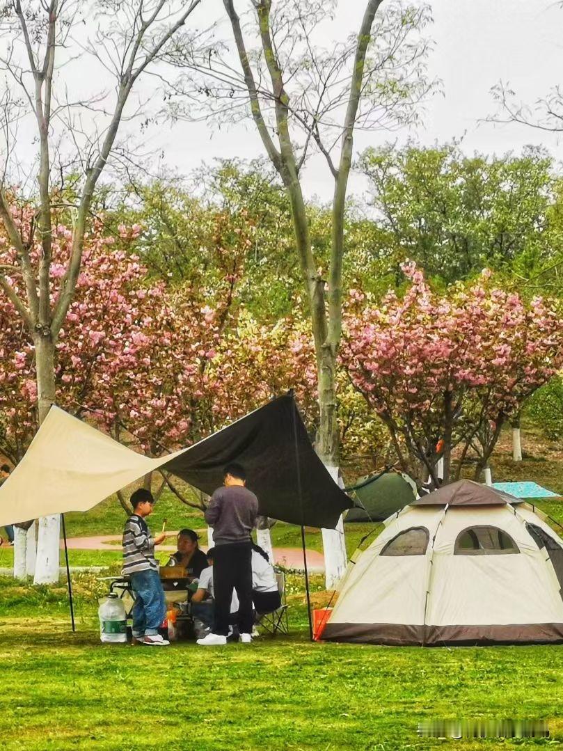 分享一下你随手拍下的照片