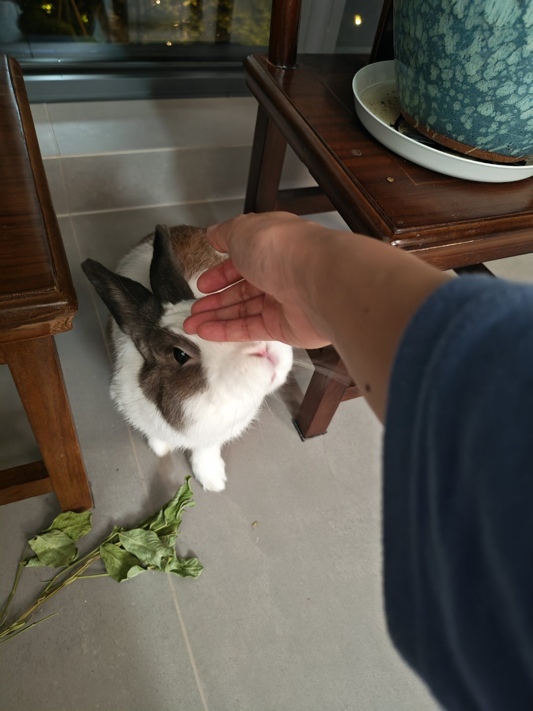 懂了一些宝妈晒孩子的心情，哪怕孩子和你互动只是因为新零食[柯基] ​​​