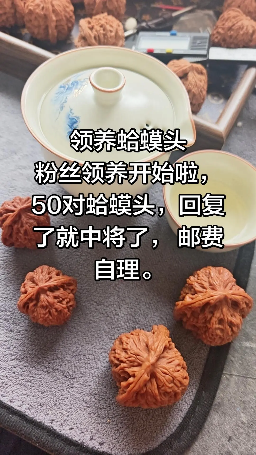 领养蛤蟆头。