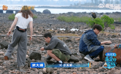 张家齐武大靖王传君做了同一件事不用刻意互动，一起低头捡海螺就很暖，自然又治愈亲爱