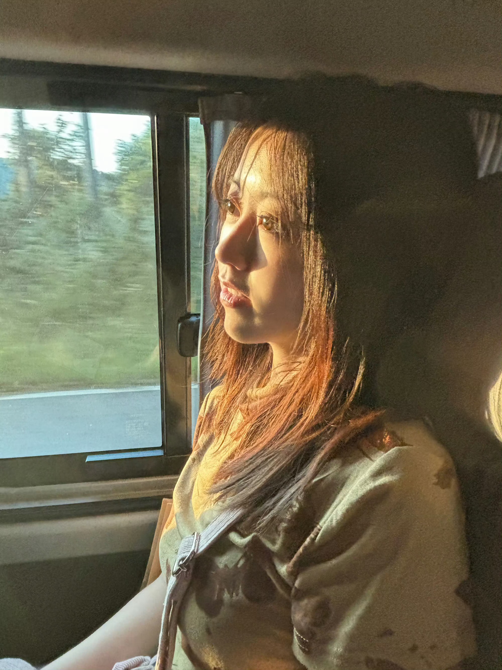 上班摸鱼翻出来之前出去玩的压箱底碎片🧩清迈这个慢悠悠城市舒服得得像小时候的外婆