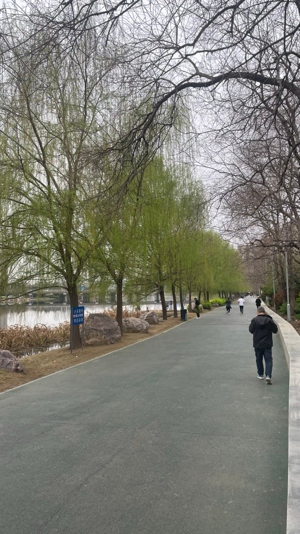 心里酥酥麻麻不可名状的酸胀感觉真的有些让人无所适从，迎面的微风不足以吹散潦草疯长