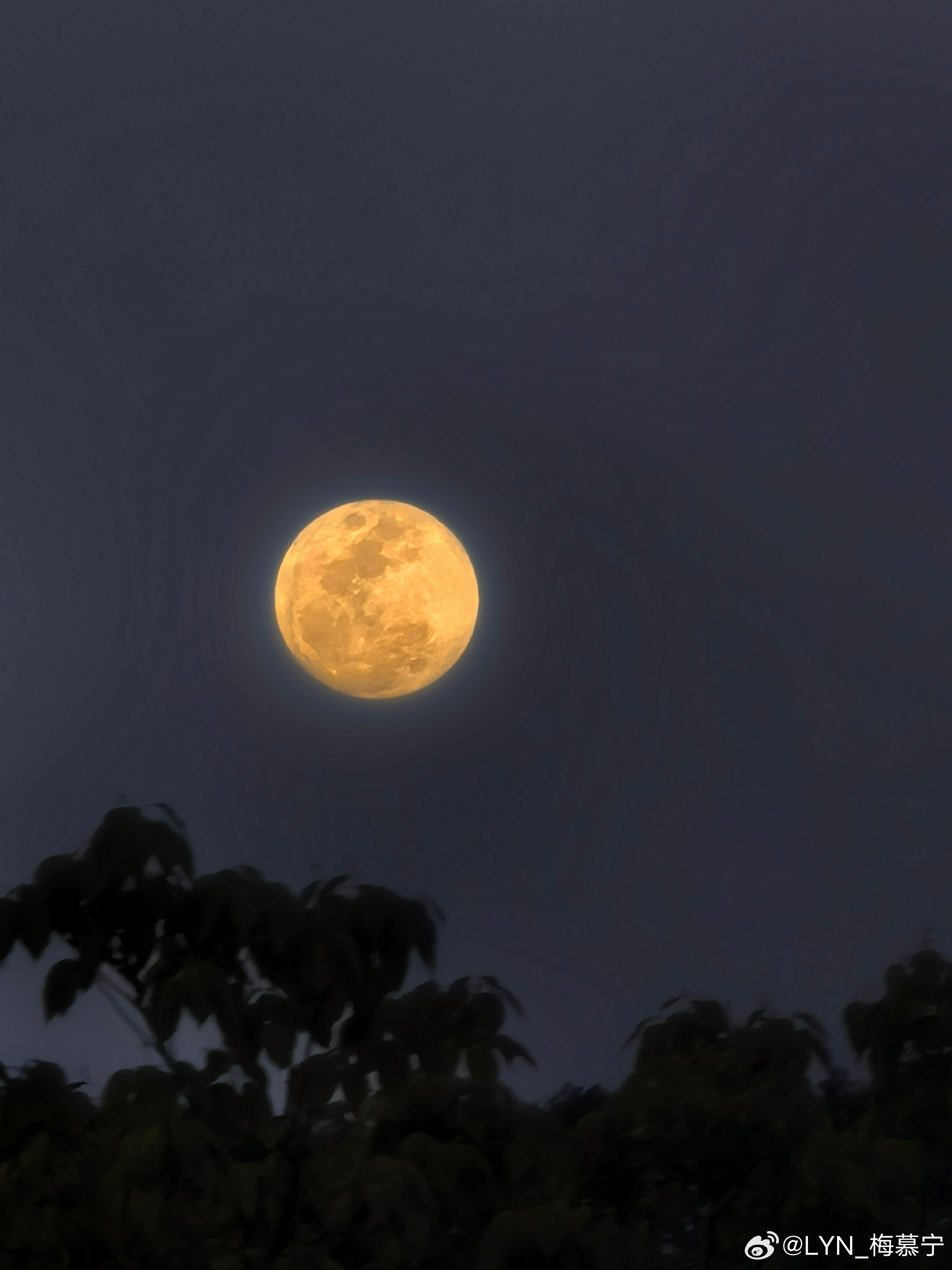 生活手记 又一个月圆之日，时间怎么过得这么快，像是悄悄的偷走了时光，藏进了自己的