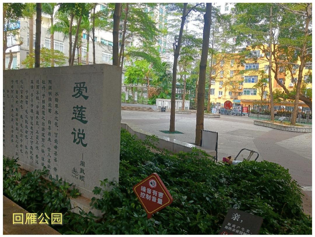 分享你随手拍的风景