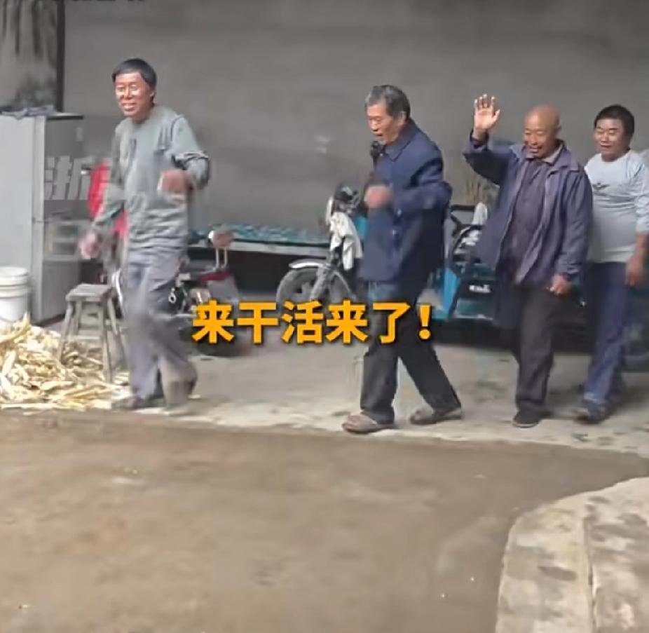 “别害怕，我们不会让你的粮食烂到地里！”9月27日，河北邯郸。秋收正忙时，男子却