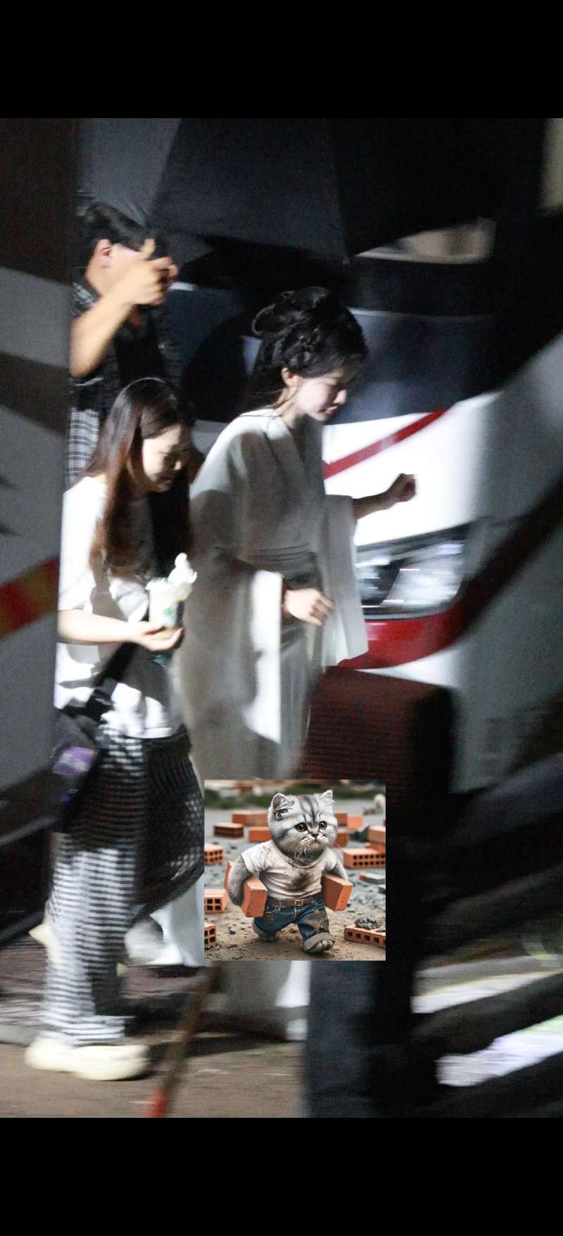 呆萌的一只
