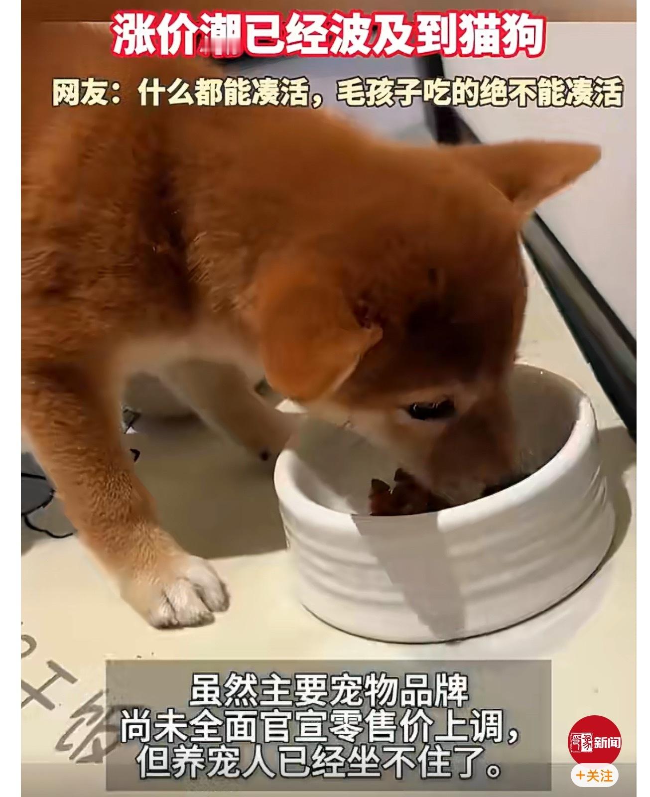 涨价潮已经波及到猫狗 家里有猫猫狗狗的最近可以开始看粮了，真没跟你们开玩笑。最近