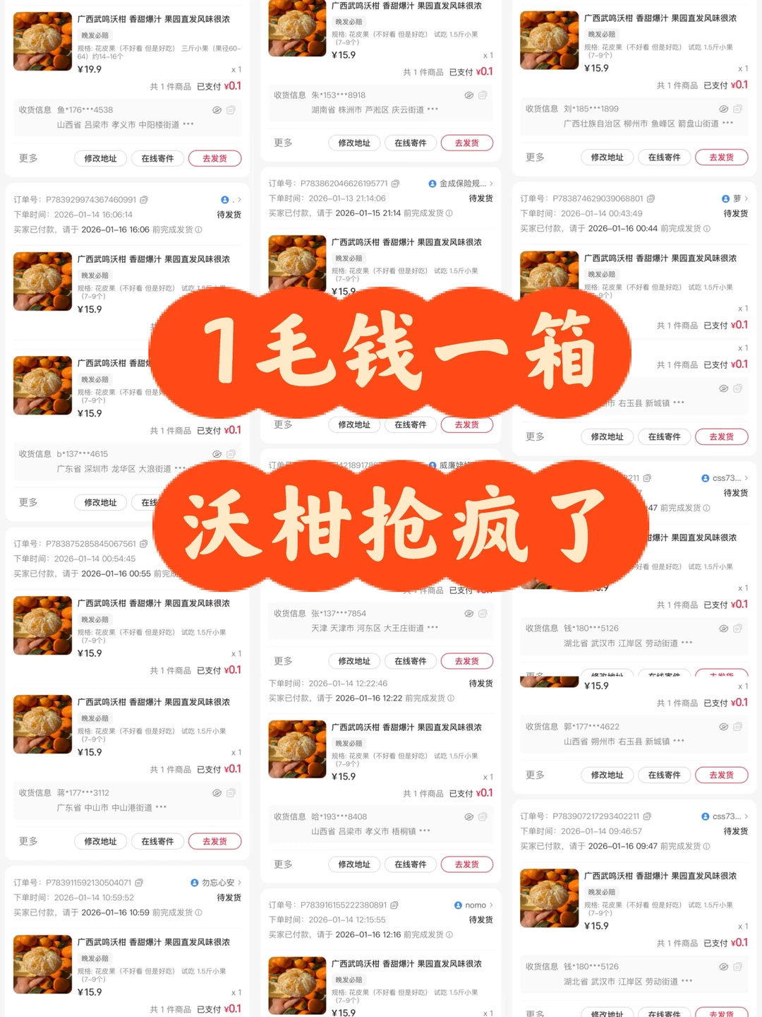 一觉醒来傻眼了，一毛钱一箱沃柑疯狂下单。