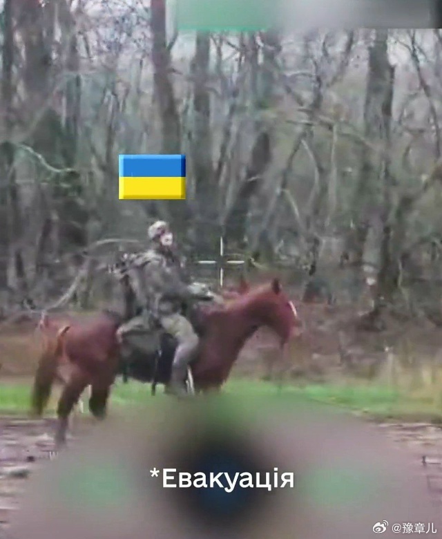 乌克兰武装部队也开始在特别军事行动区使用马匹。 