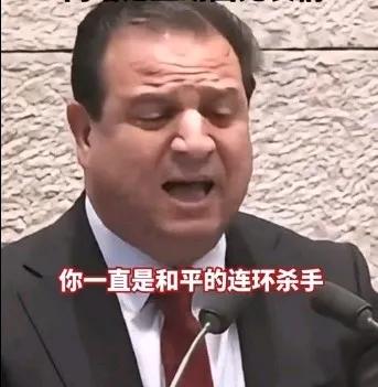 还好，以色列并非全是恶人，议员艾曼·奥德堪称以色列的良心。据多家媒体报道，以色列