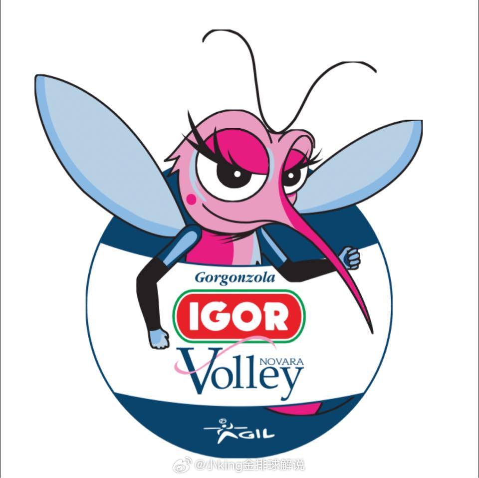 赫伯茨续约诺瓦拉世界排坛资讯