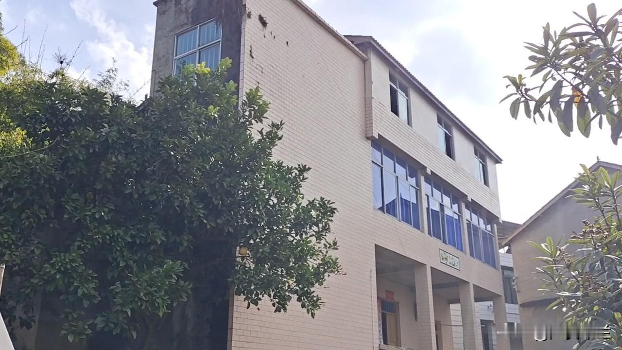 老家屋后有一片竹林，那是我儿时玩耍的天堂，抱着两根竹子翻滚，或者系一根绳荡秋千，