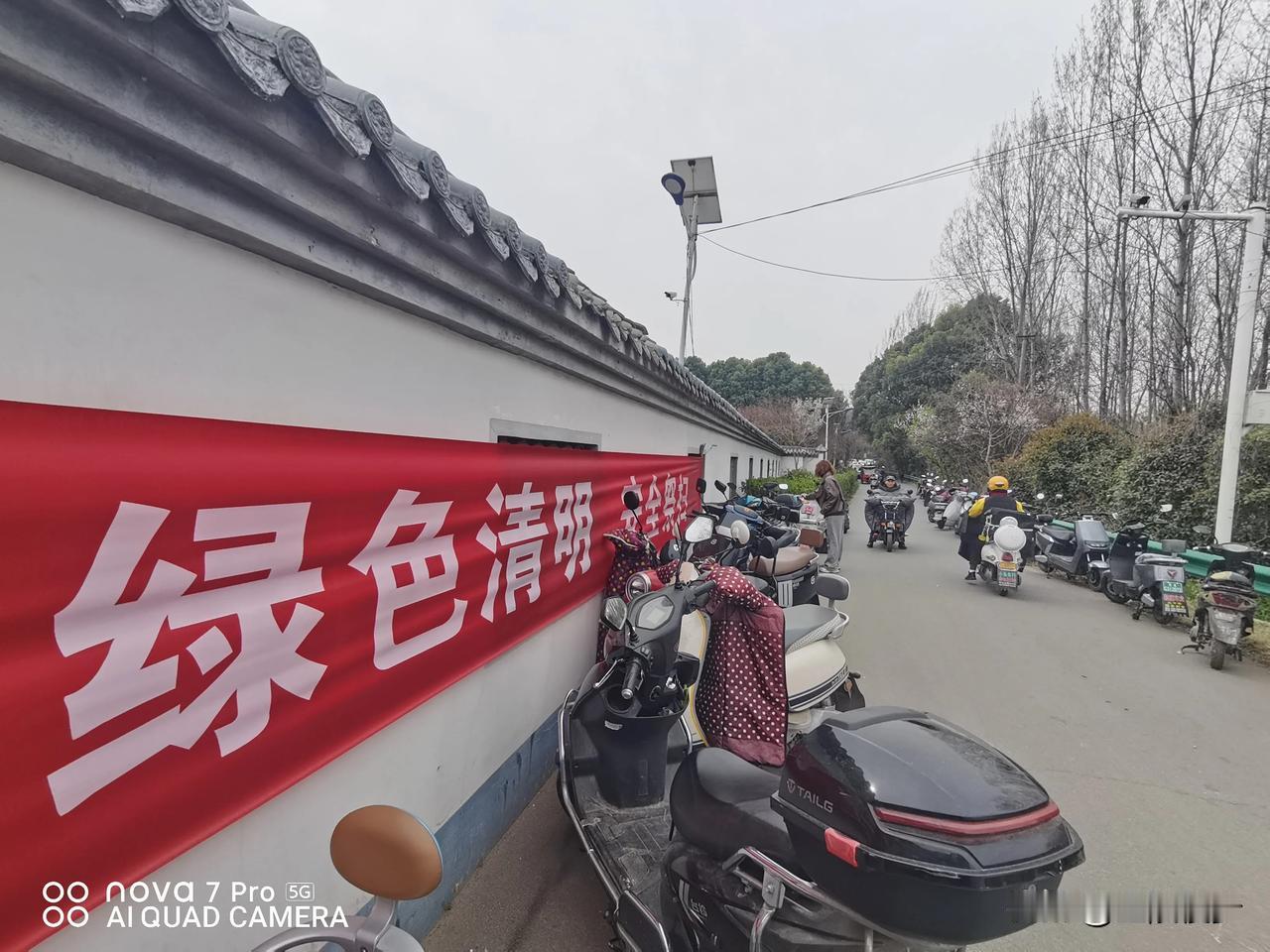 又到一年清明时，清新高雅带竹枝！
鲜花祭奠新时尚？草木葱茏生态葬。
绿色清明 安